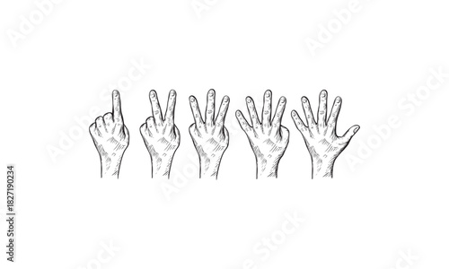 Hand Sketch Showing Numbers One to Five with Fingers