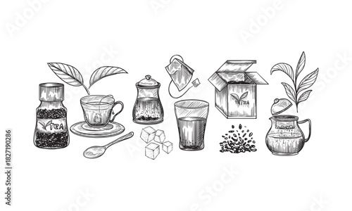 Hand Drawn Illustration of Tea Brewing Supplies