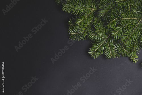 Christmas fir on white background