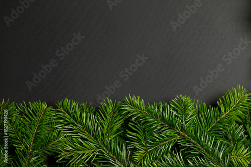 Christmas fir on white background