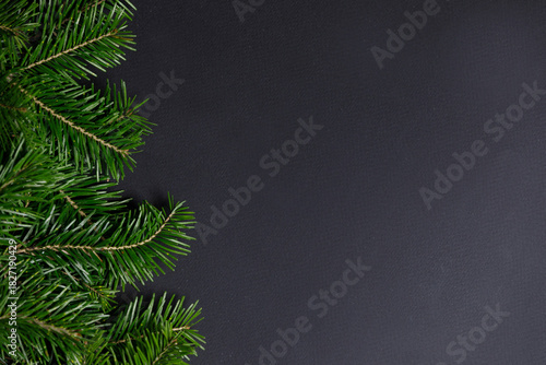 Christmas fir on white background