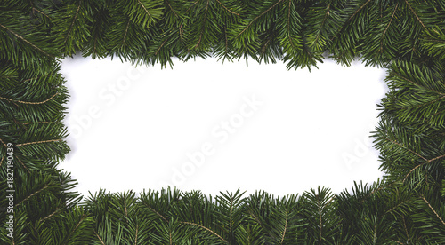 Christmas fir on white background