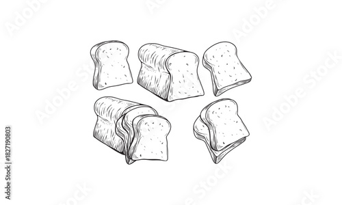 Toast slices sketch. Bread engraving in hand drawn style