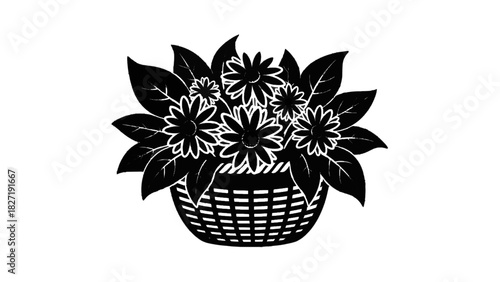 Vector illustration of black and white woodcut style illustration of a basket overflowing with daisy flowers and leaves isolated on transparent background