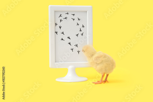 Frame with bird prints and ...