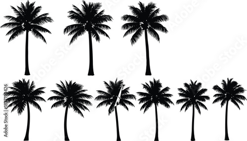 Tropical palm tree silhouette vector illustration set featuring multiple coconut trees, beach landscape elements, exotic nature graphics, and summer paradise design isolated on white background