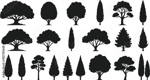 Vector set of black tree silhouettes, collection of forest nature plants, oak, pine, cypress icons, isolated on white background for landscape design.