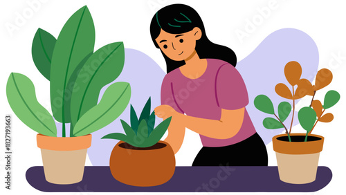 Woman arranging indoor plants in a simple vector illustration