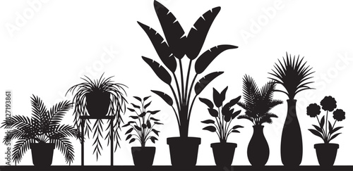 Indoor plant silhouettes featuring assorted potted leaves tropical foliage decorative houseplants arranged on shelf concept of nature greenery interior decor
