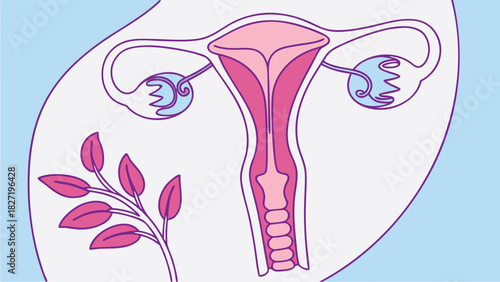 Illustration of the Female Reproductive System in Pink and Purple