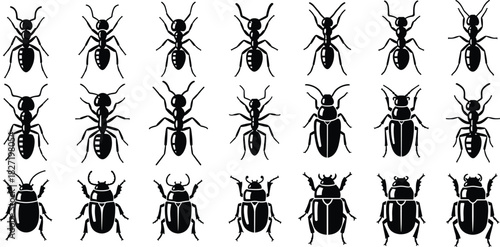Ant and beetle silhouette vector collection, black insect icons isolated on white background, small creepy bugs for pest control and nature logo design.