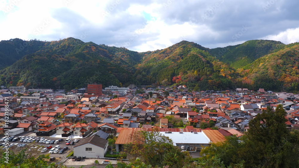 Obraz premium 津和野城下町見晴らし広場からの眺め3