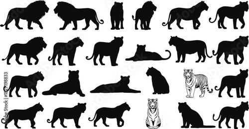 Large collection of lion and tiger silhouettes, black vector animal icons including walking and sitting poses, isolated illustration set for wildlife logo design.