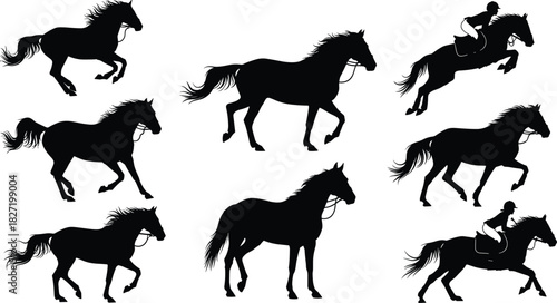 Horse silhouette vector set, running and jumping stallions, equestrian riders on horseback, black animal icons isolated on white background for racing design.