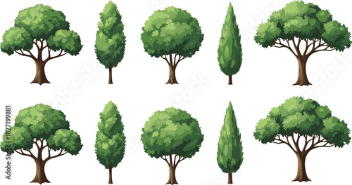Set of cartoon green trees including oak and cypress, vector forest plant icons isolated on white for landscape design.