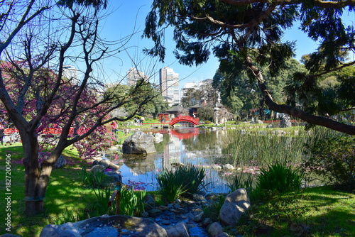 Japanese Garden Buenos Aires – Red Bridge, Lake, Colorful Trees & Green Landscape