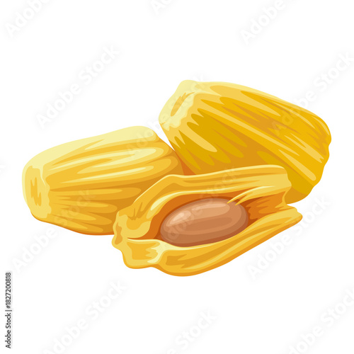 Illustration of peeled jackfruit, isolated on white background.