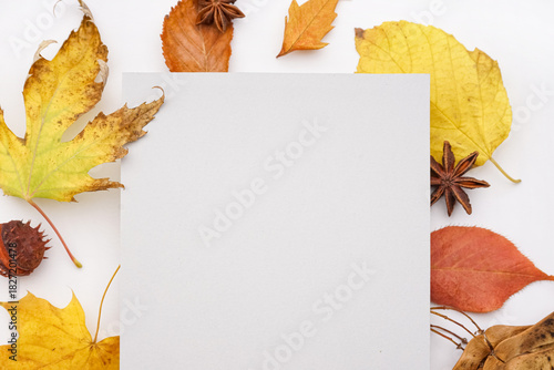Beautiful autumn compositio...