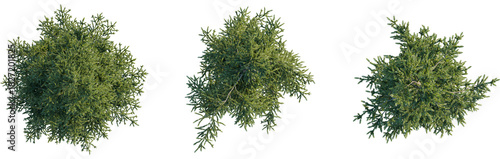 Abies alba tree plan, top view, 8k png, cutout, transparent background, isolate, Three vibrant green tree tops provide natural garden visualization aid