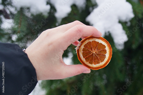 Dried orange slice in the hand