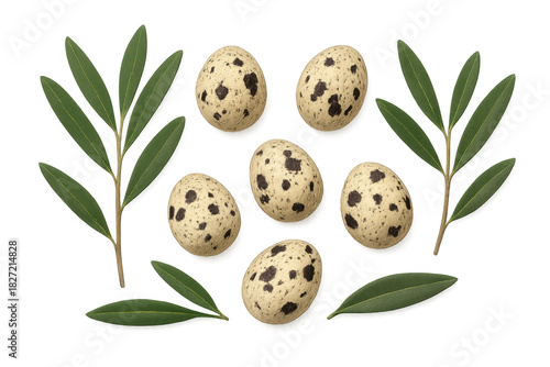 Quail eggs and green leaves on transparent background
