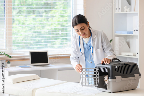 Young female veterinarian w...