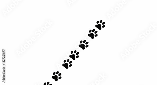 Animal paw prints illustration on white background