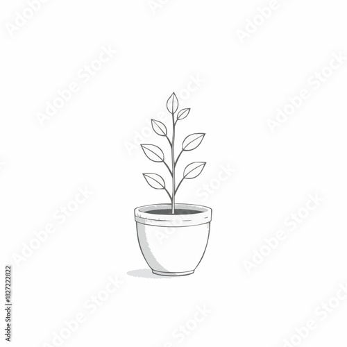 Potted plant illustration on white background