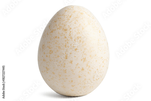 Single turkey egg with speckled shell on transparent background