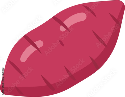 A single, raw, unprocessed sweet potato with a deep reddish-purple skin and faint horizontal lines indicating its texture.