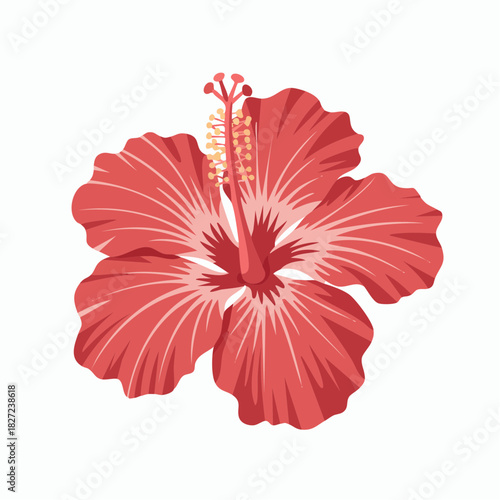 A vibrant red hibiscus flower with prominent stamen and pistil, isolated on a white background.
