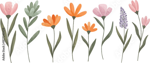 Watercolor floral illustration with pink and orange flowers on white background