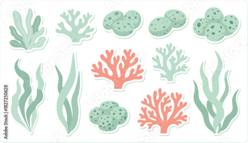 Vibrant collection of diverse underwater coral and seaweed species.