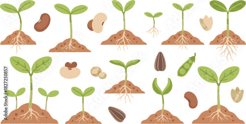 Set of various plant sprouts with roots in soil and different seeds illustrating the growth process from seed to seedling.