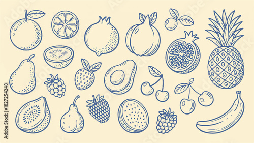 Charming hand drawn assortment of fresh fruits and vibrant berries rendered in a classic blue ink style on a soft cream background
