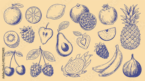 Charming hand drawn blue ink fruits and berries collection on a subtle cream colored background