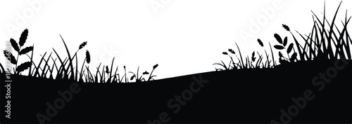 landscape silhouette with grasses hills and pine trees vector