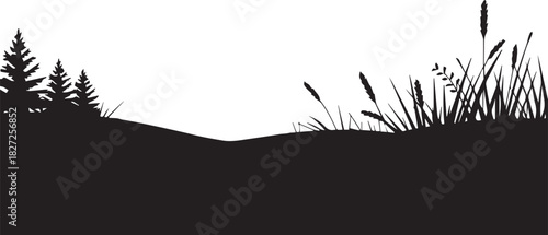 landscape countryside scene with field grass and conifer trees