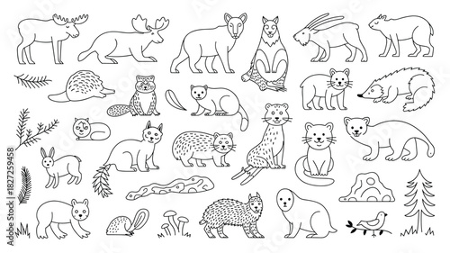 Woodland wildlife line art collection featuring moose, bear, rabbit and other animals