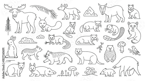 Hand drawn outline woodland creatures wildlife animals doodle sketch line art drawing set for prints