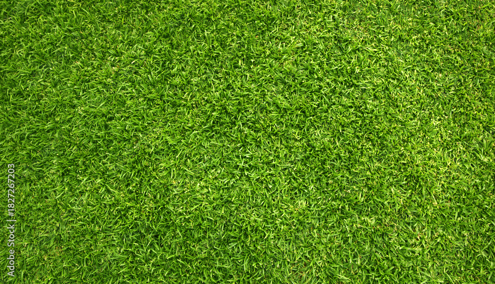 Obraz premium green lawn pattern textured background