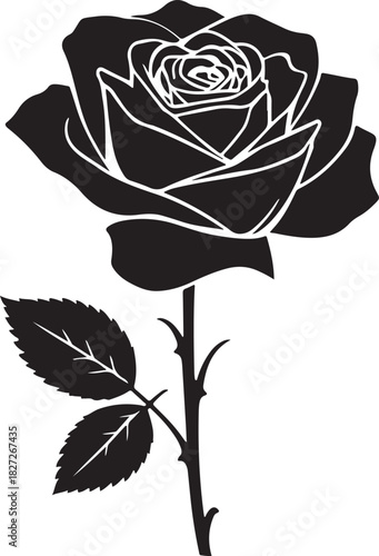 Beautiful vintage black rose vector illustration and seamless pattern design with leaves and petals on a white background for love and nature decoration