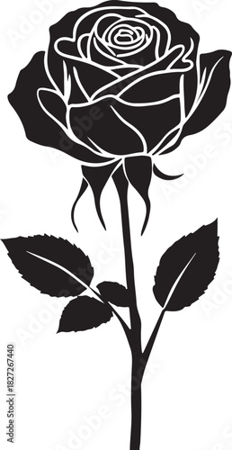 Black and white rose silhouette vector illustration on white background, a floral nature design art decoration