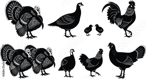 Collection of black silhouettes of turkeys roosters hens and chicks on white background