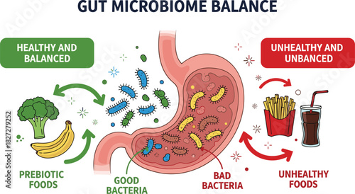 Illustration of gut microbiome balance with healthy and unhealthy foods and bacteria