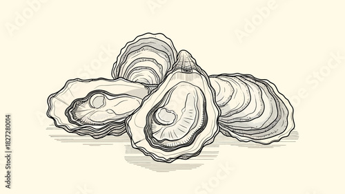 A detailed, hand-drawn illustration of a group of fresh oysters on a half shell.