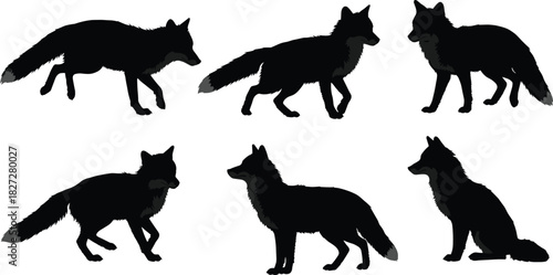 Cad drawing flat vector illustration of fox animal silhouettes, wild forest predator walking standing and sitting poses in black design