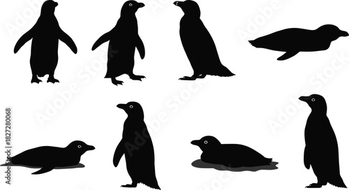Cad drawing flat vector illustration of penguin silhouettes, black bird design, arctic wildlife animals standing walking and swimming isolated artwork