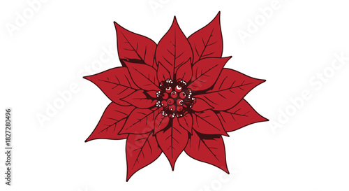 Simple red poinsettia flower vector icon for Christmas greetings and holiday design element. isolated PNG with Transparent Background