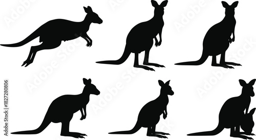 Kangaroo silhouette collection isolated on white background, Australian wildlife vector illustration, jumping and standing animal poses for nature art design